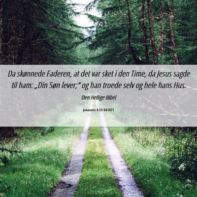 Picture 06 - Johannes 4:53 DA1871 - Da skønnede Faderen, at det var sket i den Time, - Bible Verse Picture