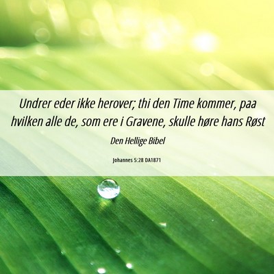 Picture 06 - Johannes 5:28 DA1871 - Undrer eder ikke herover; thi den Time kommer, - Bible Verse Picture