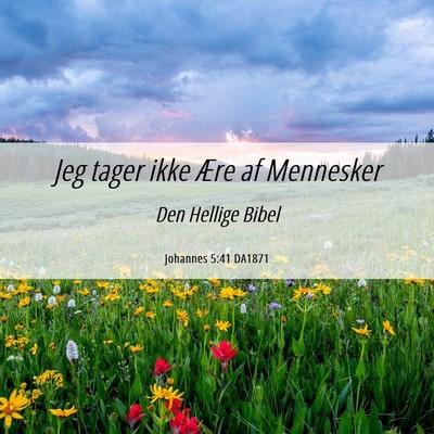 Picture 06 - Johannes 5:41 DA1871 - Jeg tager ikke Ære af - Bible Verse Picture