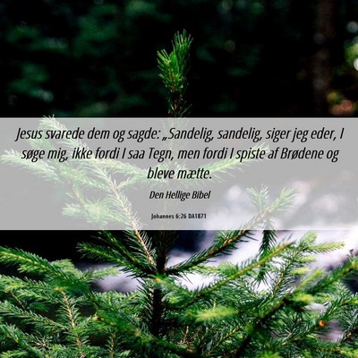 Picture 06 - Johannes 6:26 DA1871 - Jesus svarede dem og sagde: „Sandelig, - Bible Verse Picture