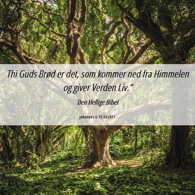 Picture 06 - Johannes 6:33 DA1871 - Thi Guds Brød er det, som kommer ned fra - Bible Verse Picture