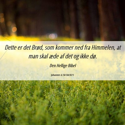 Picture 06 - Johannes 6:50 DA1871 - Dette er det Brød, som kommer ned fra Himmelen, - Bible Verse Picture