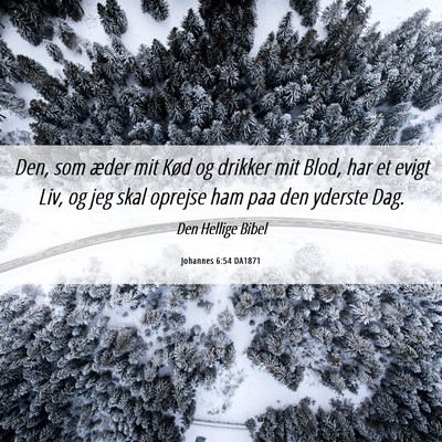 Picture 06 - Johannes 6:54 DA1871 - Den, som æder mit Kød og drikker mit Blod, har - Bible Verse Picture