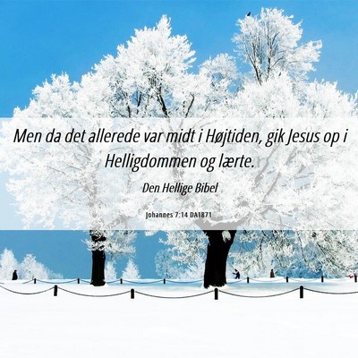 Picture 06 - Johannes 7:14 DA1871 - Men da det allerede var midt i Højtiden, gik - Bible Verse Picture
