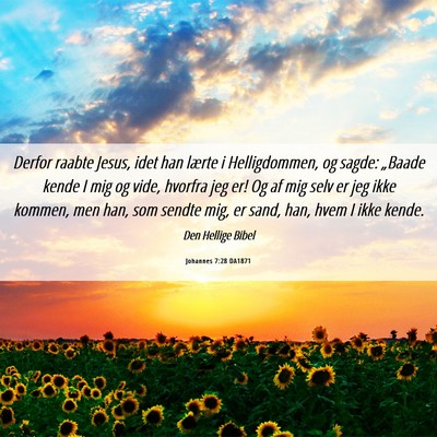Picture 06 - Johannes 7:28 DA1871 - Derfor raabte Jesus, idet han lærte i - Bible Verse Picture