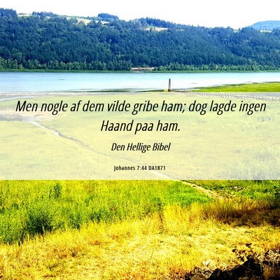 Picture 06 - Johannes 7:44 DA1871 - Men nogle af dem vilde gribe ham; dog lagde ingen - Bible Verse Picture