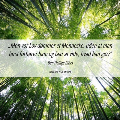 Picture 06 - Johannes 7:51 DA1871 - „Mon vor Lov dømmer et Menneske, uden at man - Bible Verse Picture