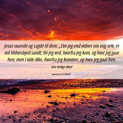 Picture 06 - Johannes 8:14 DA1871 - Jesus svarede og sagde til dem: „Om jeg end - Bible Verse Picture