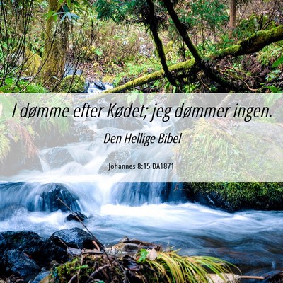 Picture 06 - Johannes 8:15 DA1871 - I dømme efter Kødet; jeg dømmer - Bible Verse Picture