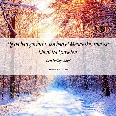Picture 06 - Johannes 9:1 DA1871 - Og da han gik forbi, saa han et Menneske, som var - Bible Verse Picture