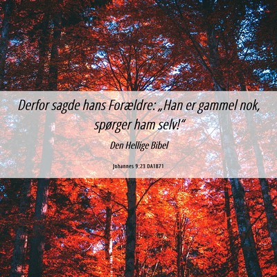Picture 06 - Johannes 9:23 DA1871 - Derfor sagde hans Forældre: „Han er gammel - Bible Verse Picture
