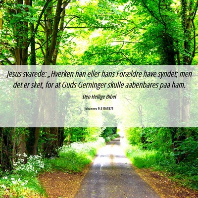 Picture 06 - Johannes 9:3 DA1871 - Jesus svarede: „Hverken han eller hans - Bible Verse Picture
