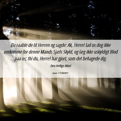 Picture 06 - Jonas 1:14 DA1871 - Da raabte de til Herren og sagde: Ak, Herre! lad - Bible Verse Picture