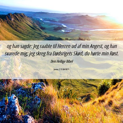 Picture 06 - Jonas 2:3 DA1871 - og han sagde: Jeg raabte til Herren ud af min - Bible Verse Picture