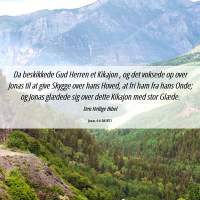 Picture 06 - Jonas 4:6 DA1871 - Da beskikkede Gud Herren et Kikajon , og det - Bible Verse Picture