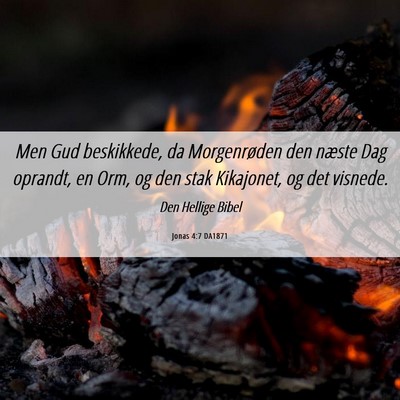 Picture 06 - Jonas 4:7 DA1871 - Men Gud beskikkede, da Morgenrøden den næste - Bible Verse Picture