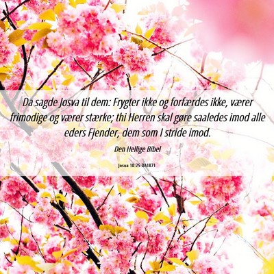 Picture 06 - Josua 10:25 DA1871 - Da sagde Josva til dem: Frygter ikke og - Bible Verse Picture