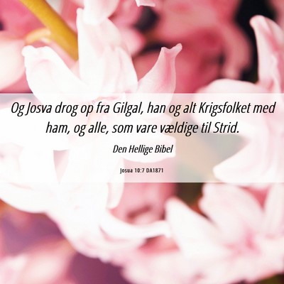 Picture 06 - Josua 10:7 DA1871 - Og Josva drog op fra Gilgal, han og alt - Bible Verse Picture
