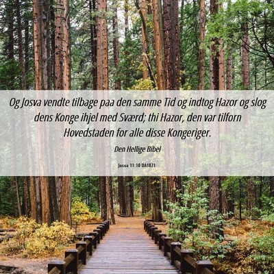 Picture 06 - Josua 11:10 DA1871 - Og Josva vendte tilbage paa den samme Tid og - Bible Verse Picture