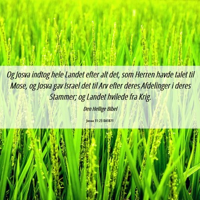 Picture 06 - Josua 11:23 DA1871 - Og Josva indtog hele Landet efter alt det, som - Bible Verse Picture