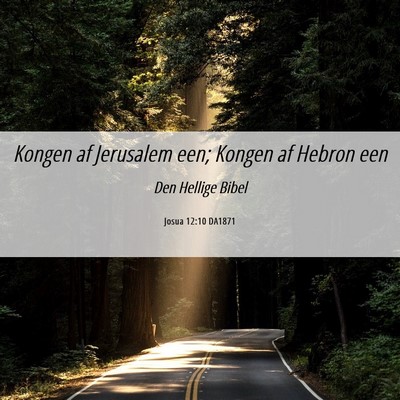 Picture 06 - Josua 12:10 DA1871 - Kongen af Jerusalem een; Kongen af Hebron - Bible Verse Picture