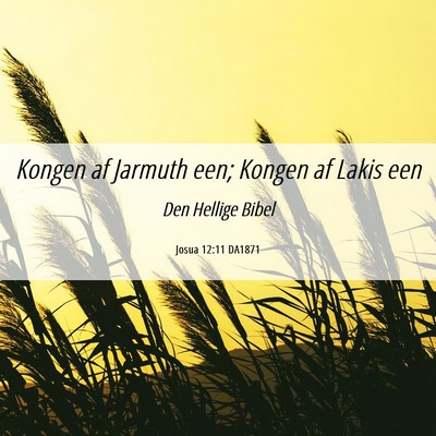 Picture 06 - Josua 12:11 DA1871 - Kongen af Jarmuth een; Kongen af Lakis - Bible Verse Picture