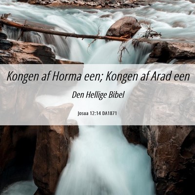 Picture 06 - Josua 12:14 DA1871 - Kongen af Horma een; Kongen af Arad - Bible Verse Picture
