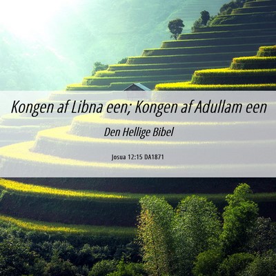 Picture 06 - Josua 12:15 DA1871 - Kongen af Libna een; Kongen af Adullam - Bible Verse Picture