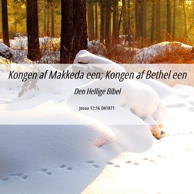 Picture 06 - Josua 12:16 DA1871 - Kongen af Makkeda een; Kongen af Bethel - Bible Verse Picture