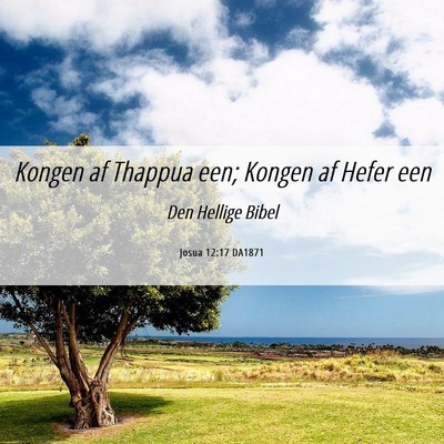 Picture 06 - Josua 12:17 DA1871 - Kongen af Thappua een; Kongen af Hefer - Bible Verse Picture