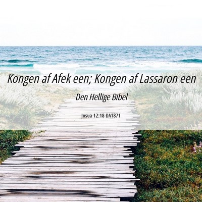 Picture 06 - Josua 12:18 DA1871 - Kongen af Afek een; Kongen af Lassaron - Bible Verse Picture