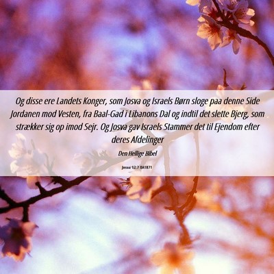 Picture 06 - Josua 12:7 DA1871 - Og disse ere Landets Konger, som Josva og Israels - Bible Verse Picture