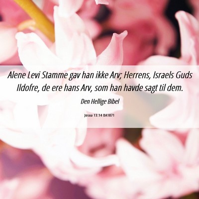 Picture 06 - Josua 13:14 DA1871 - Alene Levi Stamme gav han ikke Arv; Herrens, - Bible Verse Picture