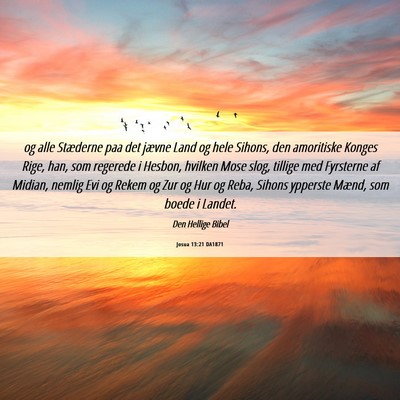 Picture 06 - Josua 13:21 DA1871 - og alle Stæderne paa det jævne Land og hele - Bible Verse Picture