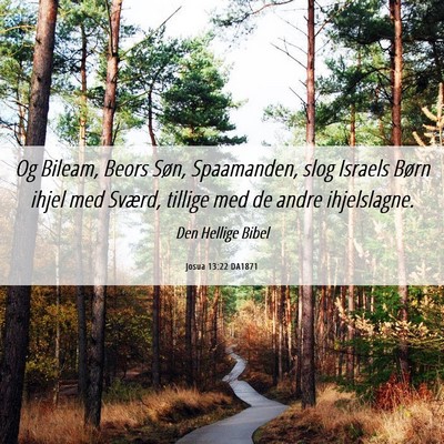Picture 06 - Josua 13:22 DA1871 - Og Bileam, Beors Søn, Spaamanden, slog Israels - Bible Verse Picture