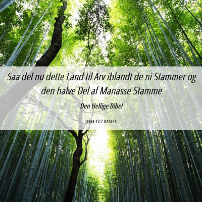 Picture 06 - Josua 13:7 DA1871 - Saa del nu dette Land til Arv iblandt de ni - Bible Verse Picture