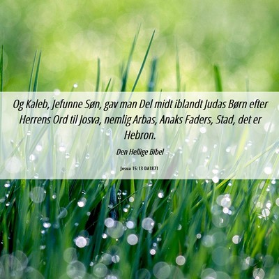 Picture 06 - Josua 15:13 DA1871 - Og Kaleb, Jefunne Søn, gav man Del midt iblandt - Bible Verse Picture