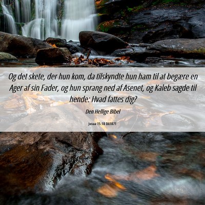 Picture 06 - Josua 15:18 DA1871 - Og det skete, der hun kom, da tilskyndte hun ham - Bible Verse Picture