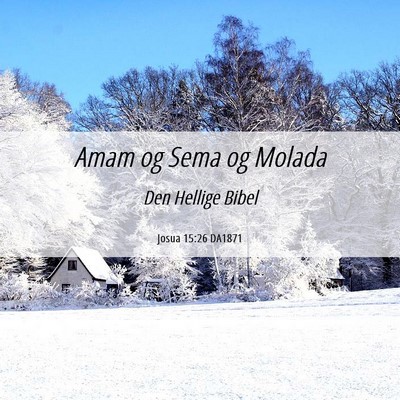 Picture 06 - Josua 15:26 DA1871 - Amam og Sema og - Bible Verse Picture