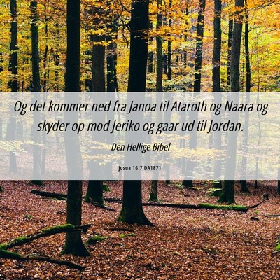 Picture 06 - Josua 16:7 DA1871 - Og det kommer ned fra Janoa til Ataroth og Naara - Bible Verse Picture