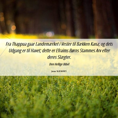 Picture 06 - Josua 16:8 DA1871 - Fra Thappua gaar Landemærket i Vester til - Bible Verse Picture