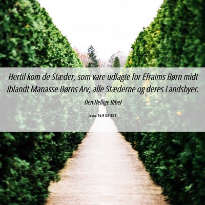 Picture 06 - Josua 16:9 DA1871 - Hertil kom de Stæder, som vare udlagte for - Bible Verse Picture