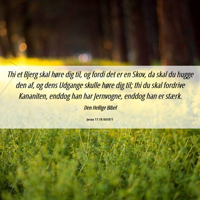 Picture 06 - Josua 17:18 DA1871 - Thi et Bjerg skal høre dig til, og fordi det er - Bible Verse Picture