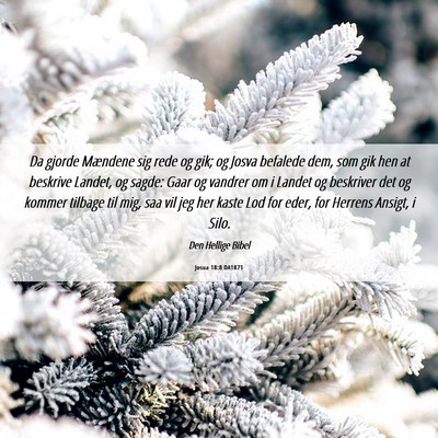 Picture 06 - Josua 18:8 DA1871 - Da gjorde Mændene sig rede og gik; og Josva - Bible Verse Picture