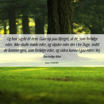 Picture 06 - Josua 2:16 DA1871 - Og hun sagde til dem: Gaar op paa Bjerget, at de, - Bible Verse Picture