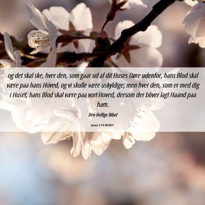 Picture 06 - Josua 2:19 DA1871 - og det skal ske, hver den, som gaar ud af dit - Bible Verse Picture