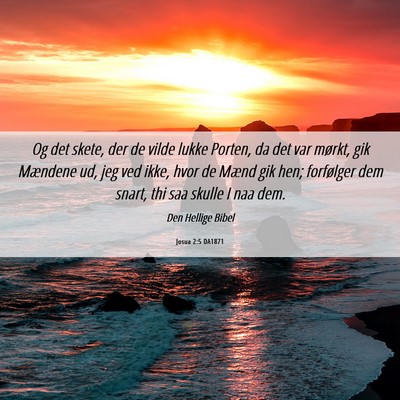 Picture 06 - Josua 2:5 DA1871 - Og det skete, der de vilde lukke Porten, da det - Bible Verse Picture