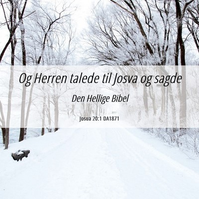 Picture 06 - Josua 20:1 DA1871 - Og Herren talede til Josva og - Bible Verse Picture