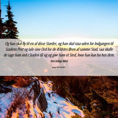 Picture 06 - Josua 20:4 DA1871 - Og han skal fly til en af disse Stæder, og han - Bible Verse Picture