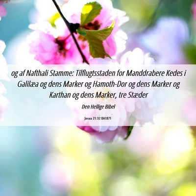 Picture 06 - Josua 21:32 DA1871 - og af Nafthali Stamme: Tilflugtsstaden for - Bible Verse Picture